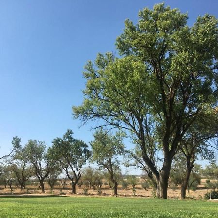 Finca El Relax Кольменар-де-Ореха Экстерьер фото